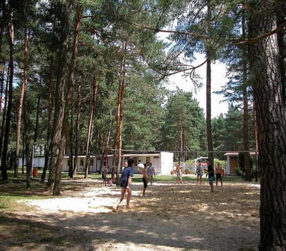 Centrum Szkolenia I Rekreacji Krasnobród Exteriör bild